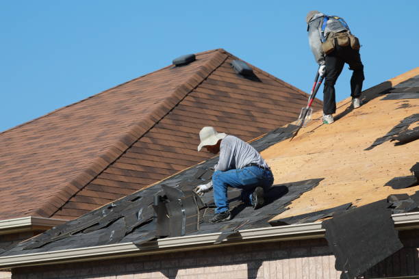 Best Storm Damage Roof Repair  in Cao, ND