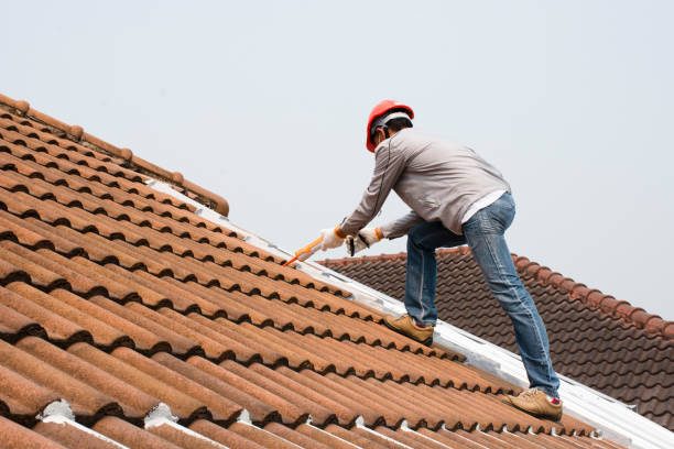 Best Roof Ventilation Installation  in Cao, ND