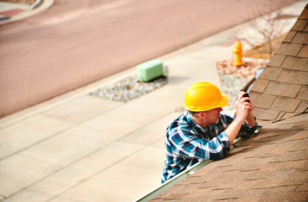 Best Roof Moss and Algae Removal  in Cao, ND